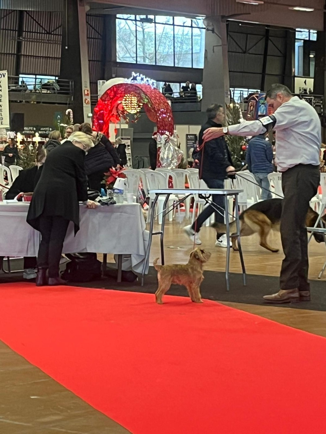 Varech De Treskanvel